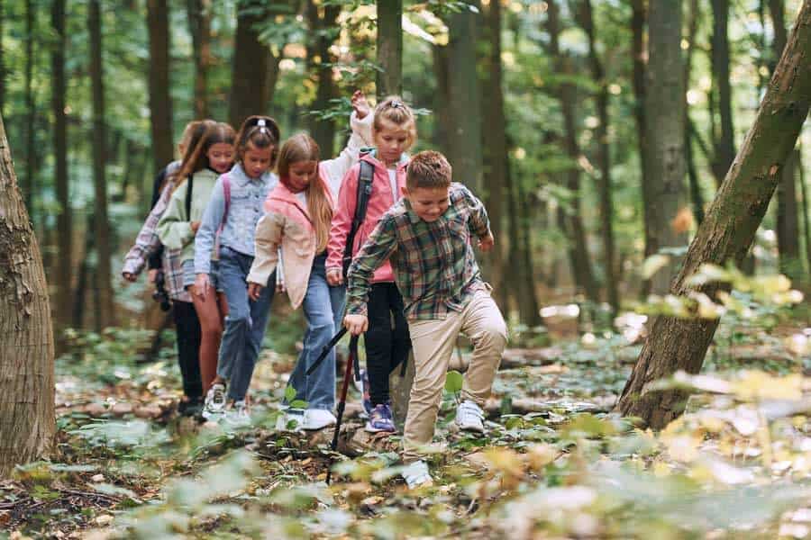 Kids exploring woods on outdoor educational trip at Bradford International Virtual School